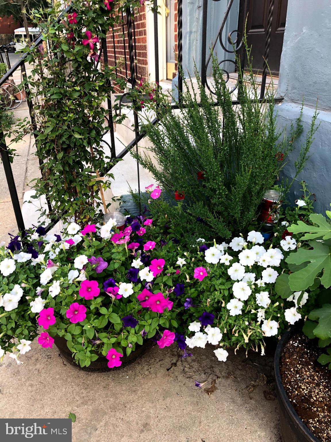 FRANCISVILLE - Residential