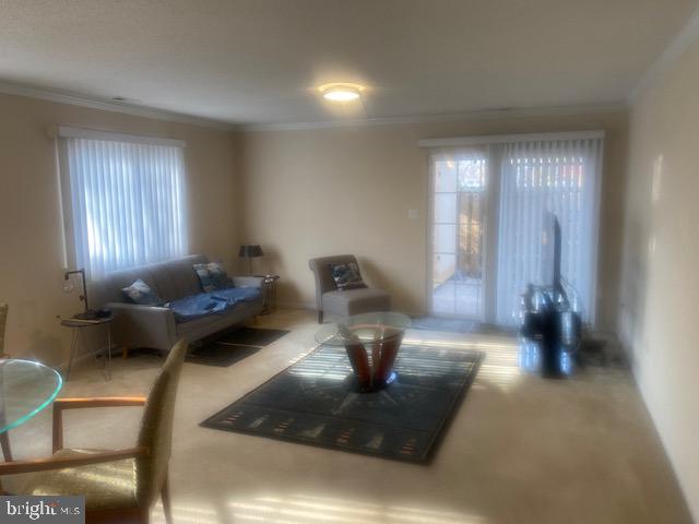 7 STONEY POINT COURT