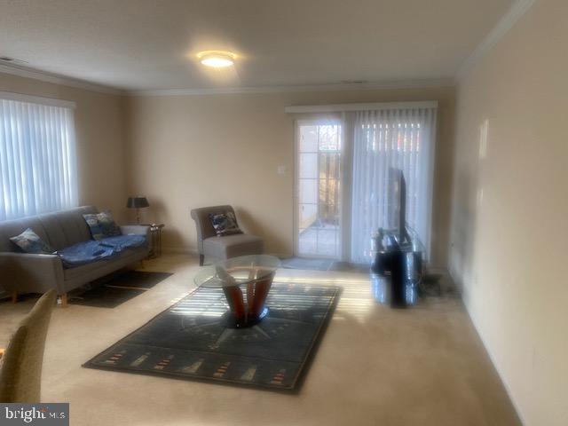 7 STONEY POINT COURT