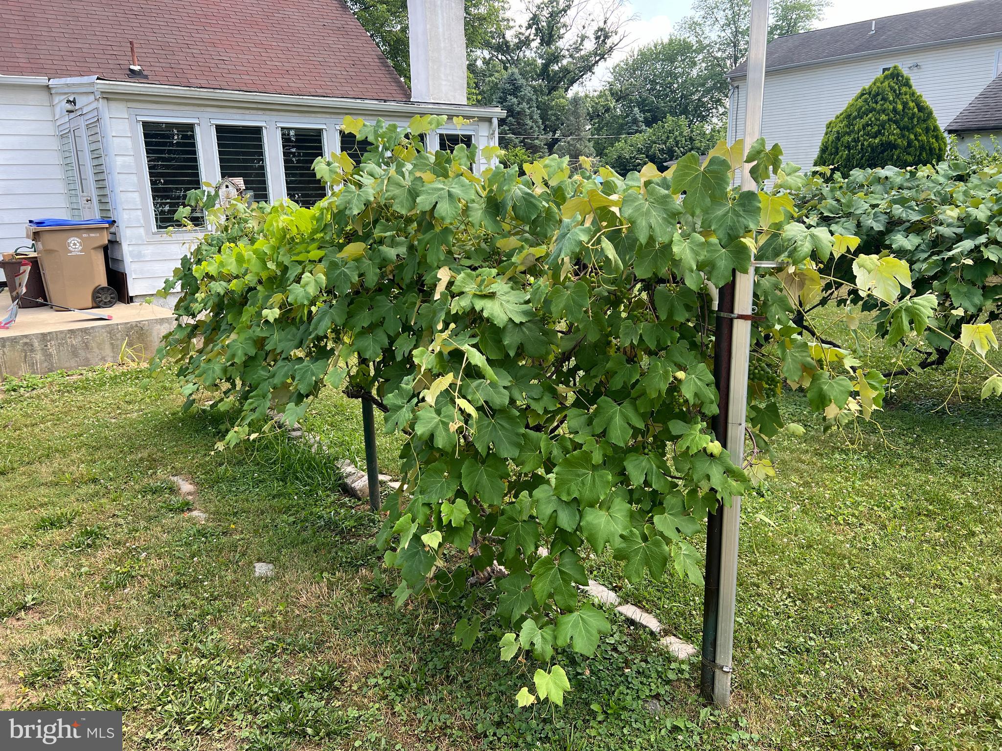 FLORIDA PARK - Residential