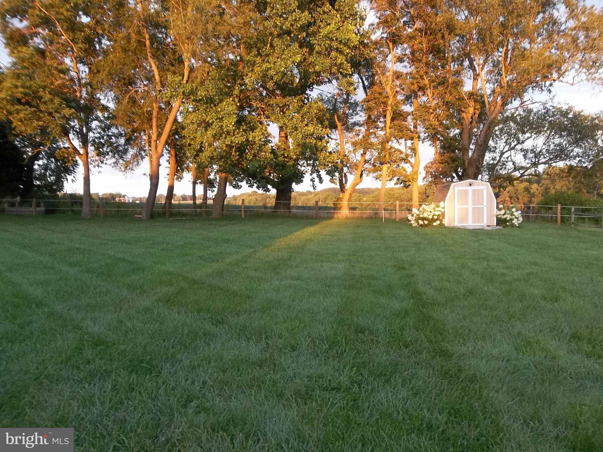 SHAH VALLEY - Residential Lease