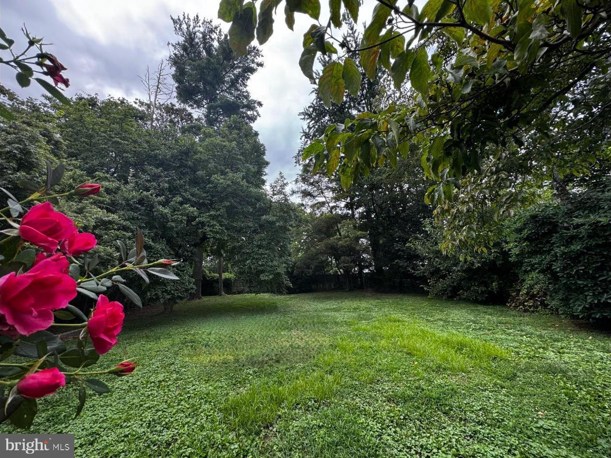 WYNDMOOR - Residential