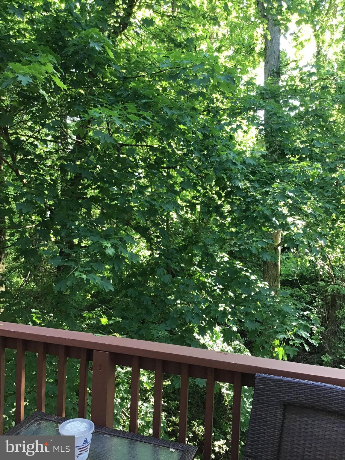 SEABREEZE AT HARBOR GATES - Residential Lease