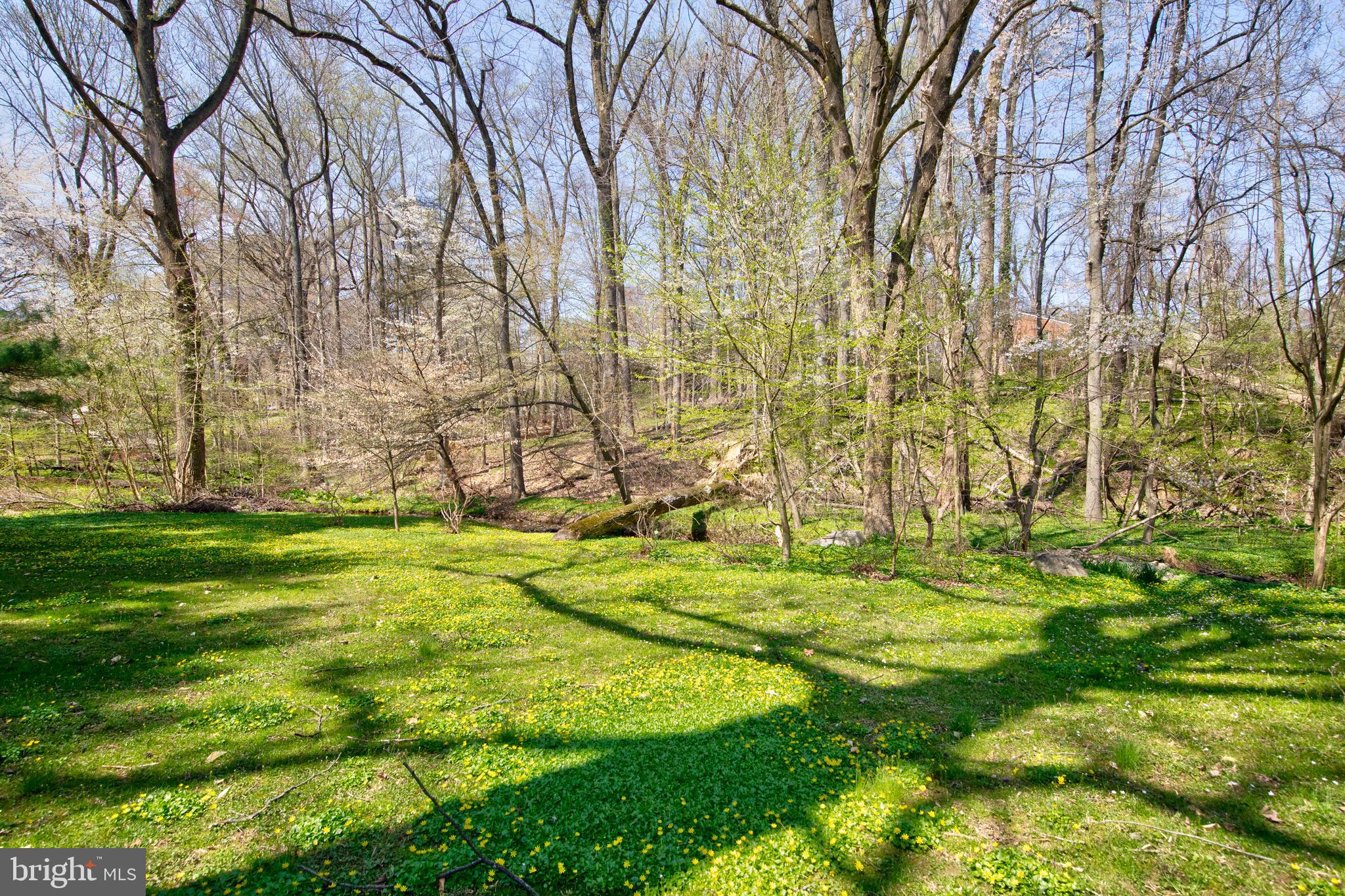 ST JAMES TERRACE - Residential
