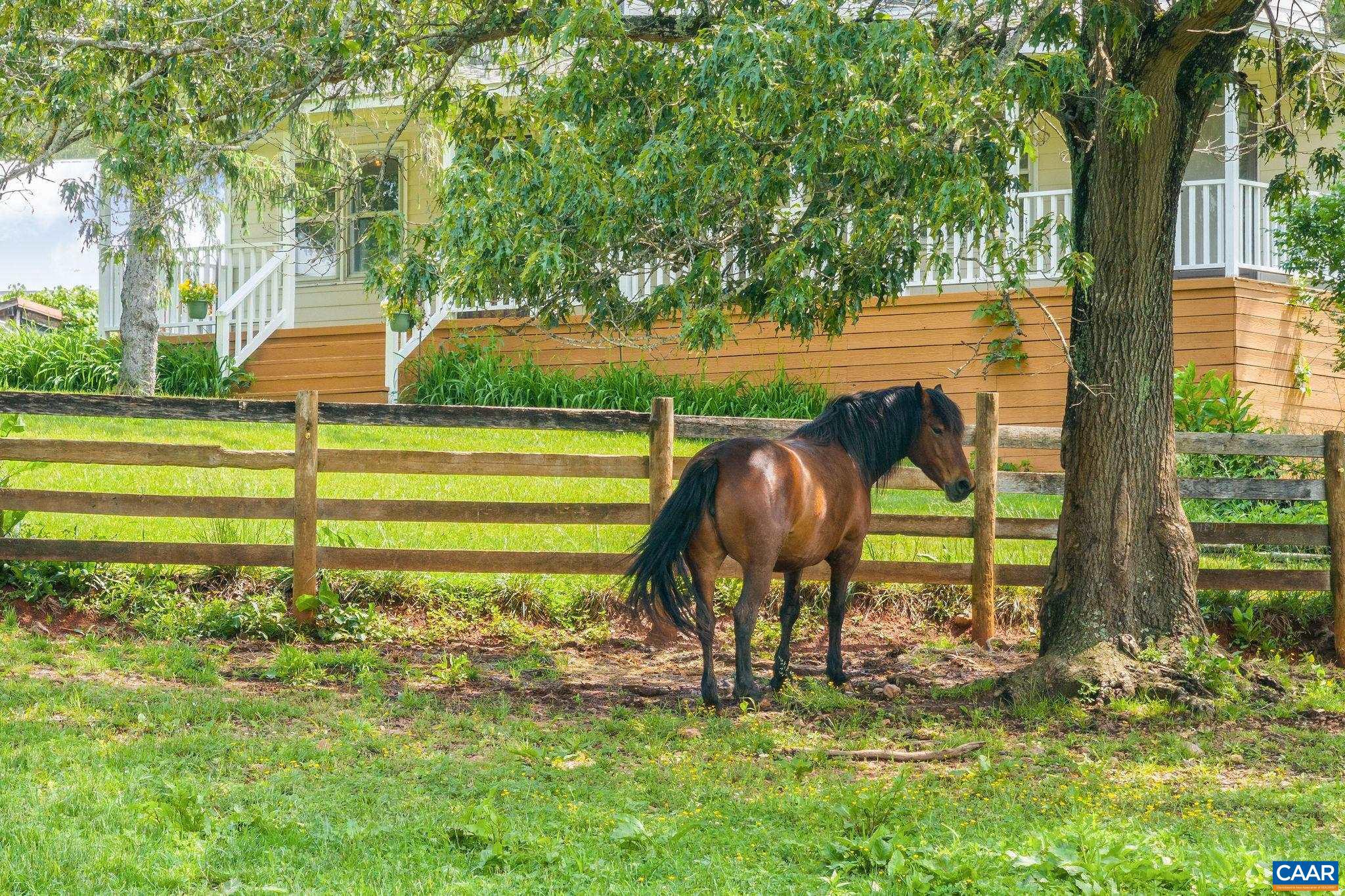 NONE AVAILABLE - Farm