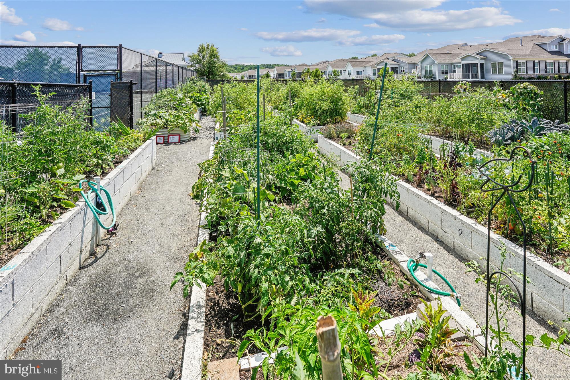 BAY BRIDGE COVE - Residential