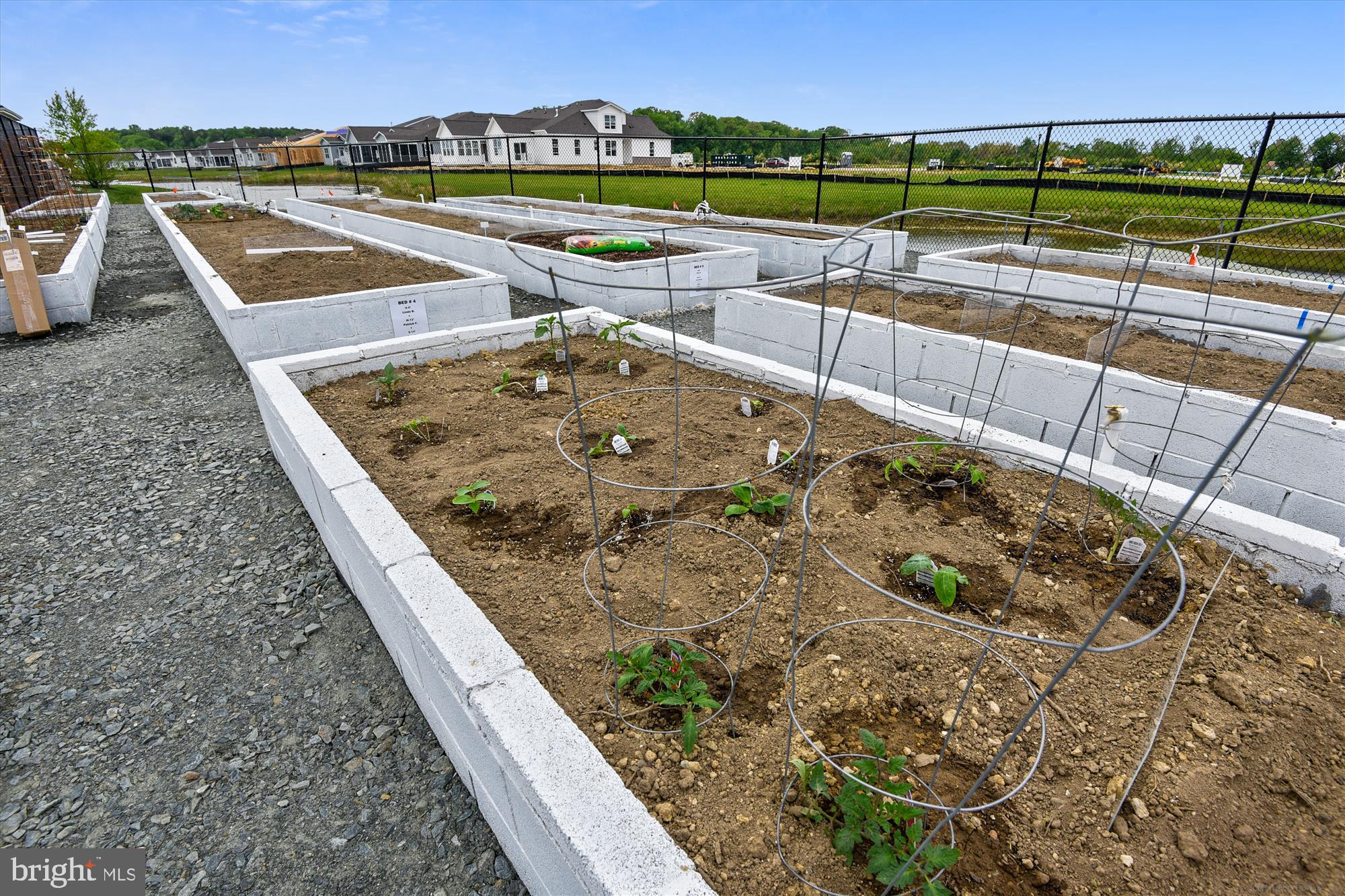 BAY BRIDGE COVE - Residential