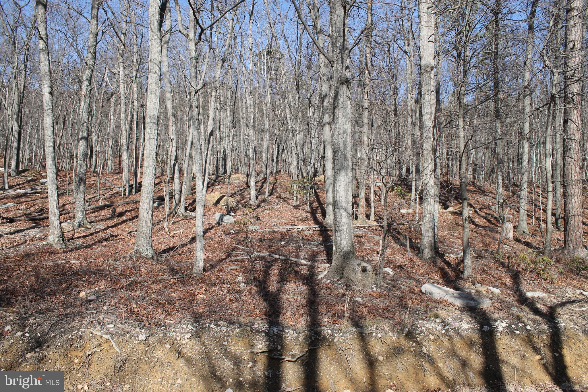 MOUNTAIN FALLS PARK - Land