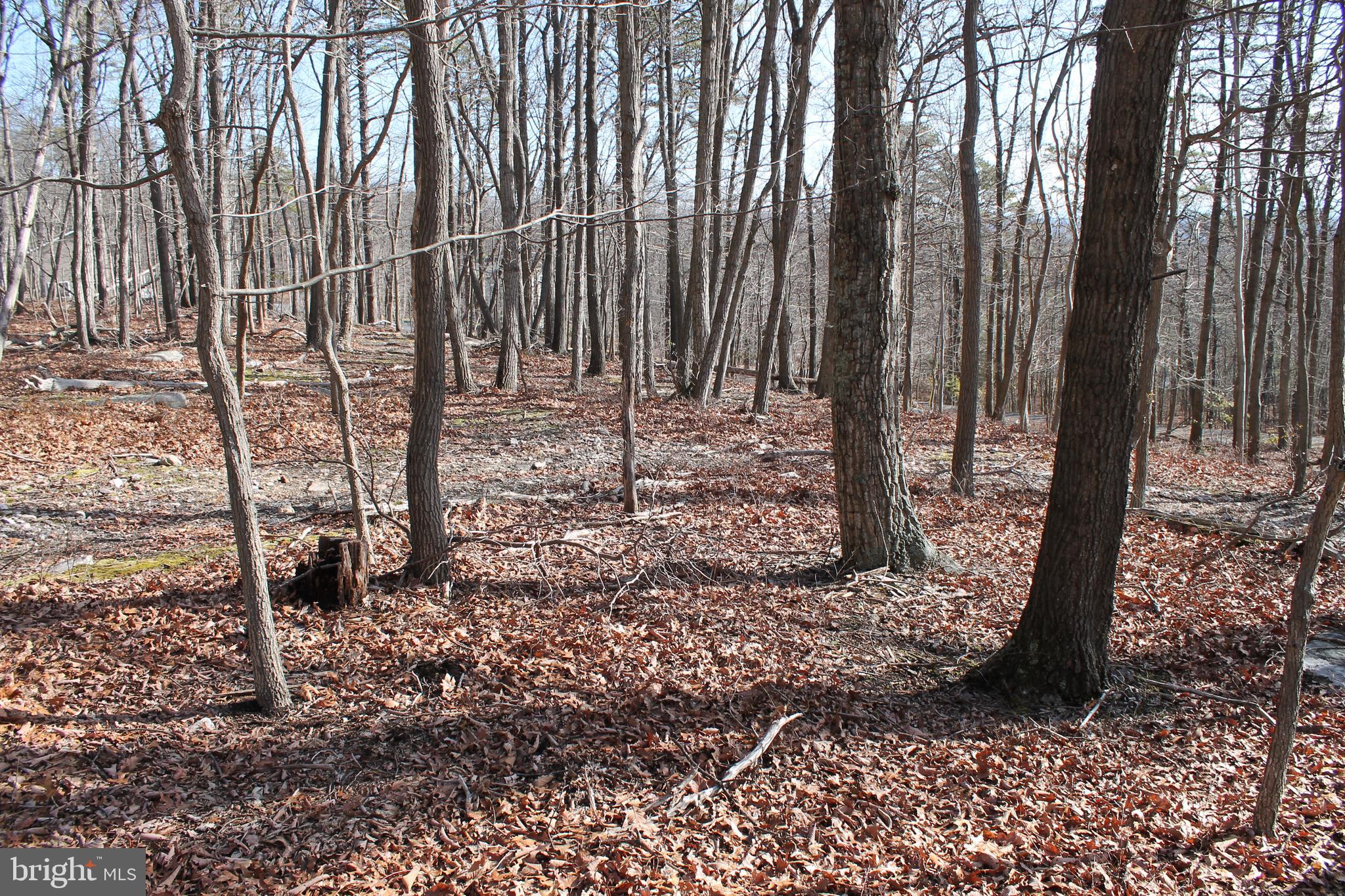 MOUNTAIN FALLS PARK - Land