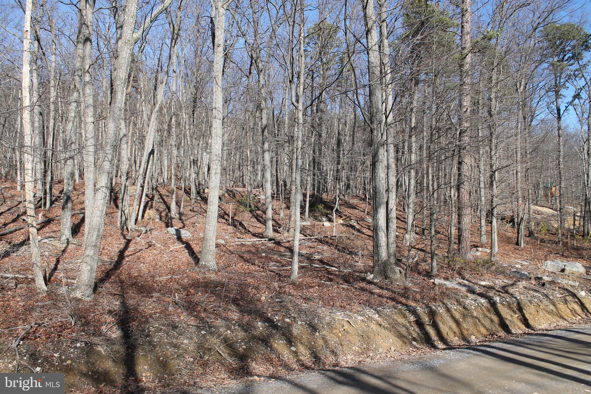 MOUNTAIN FALLS PARK - Land