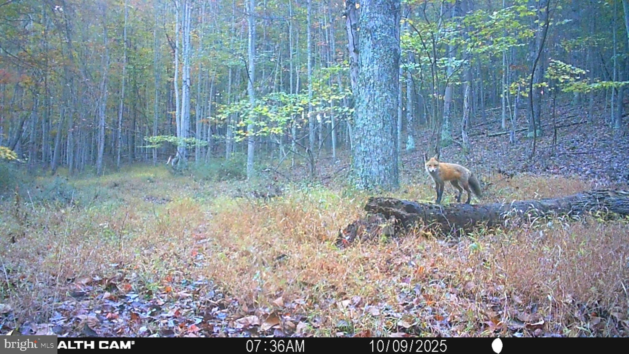 TIMBER RIDGE - Residential
