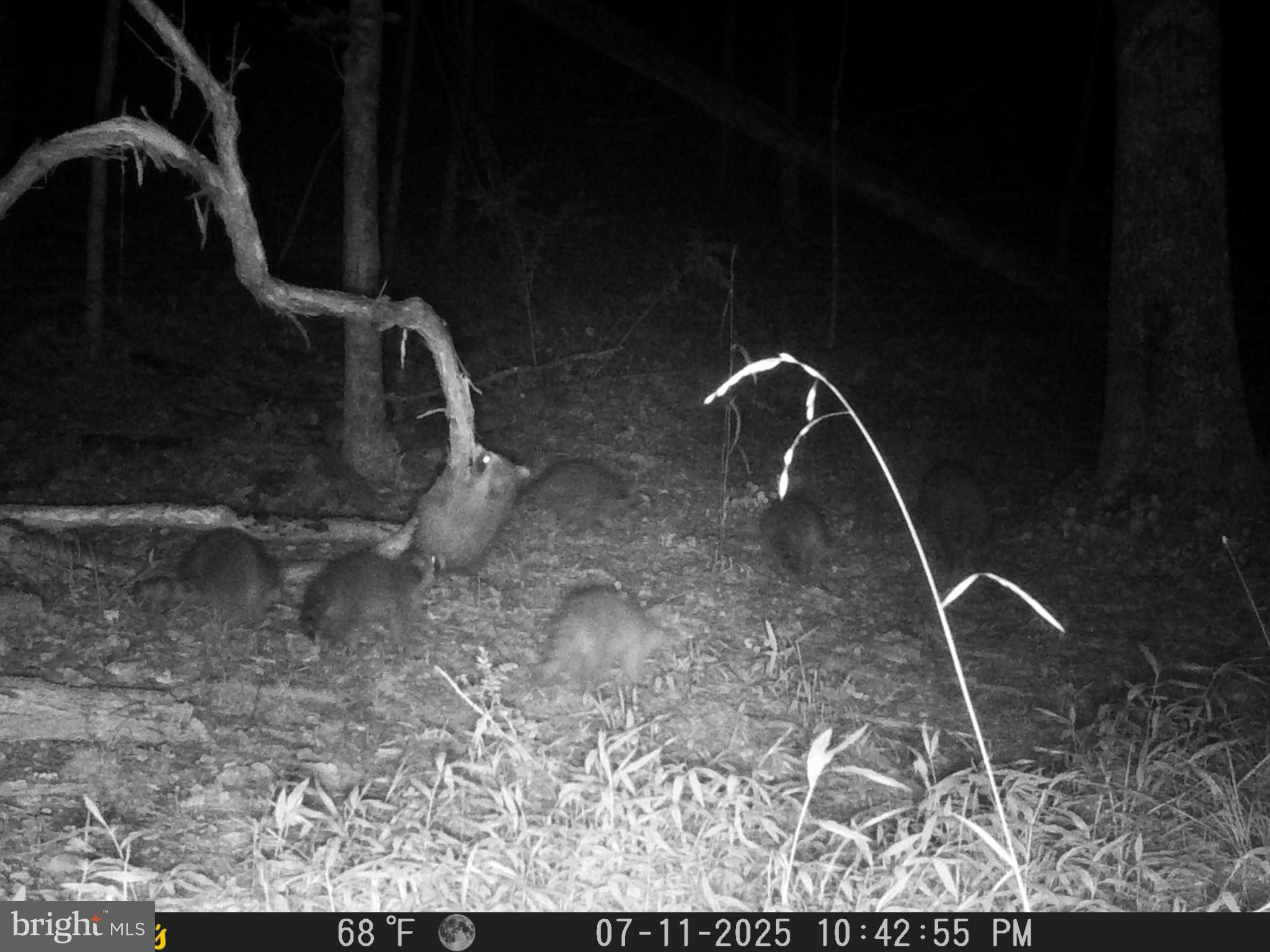 TIMBER RIDGE - Residential