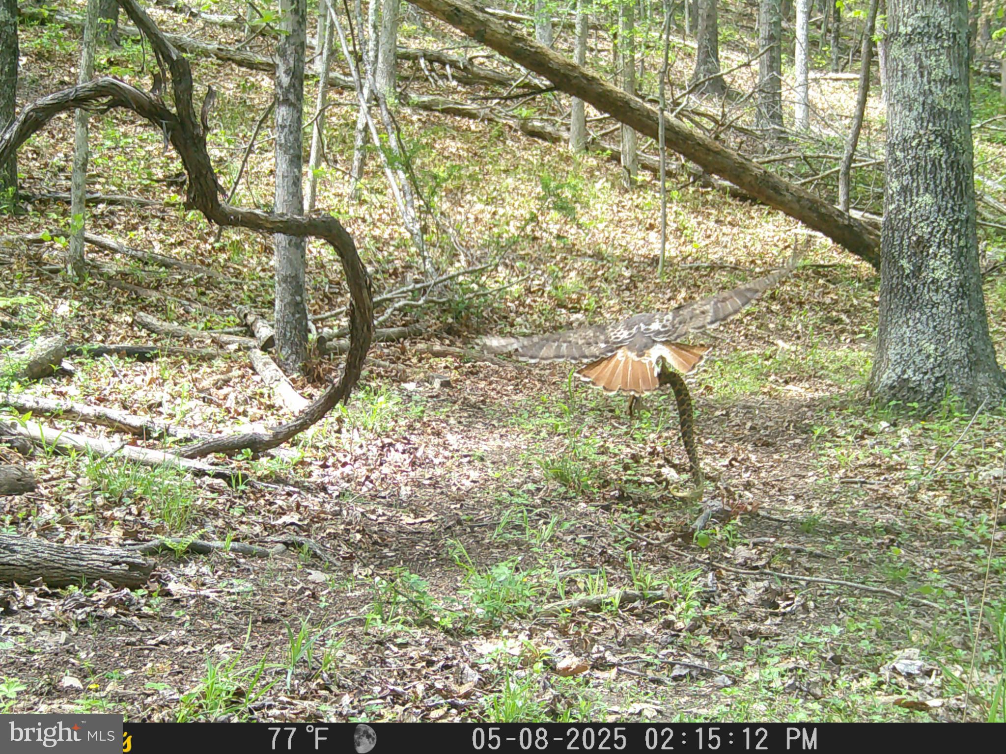 TIMBER RIDGE - Residential
