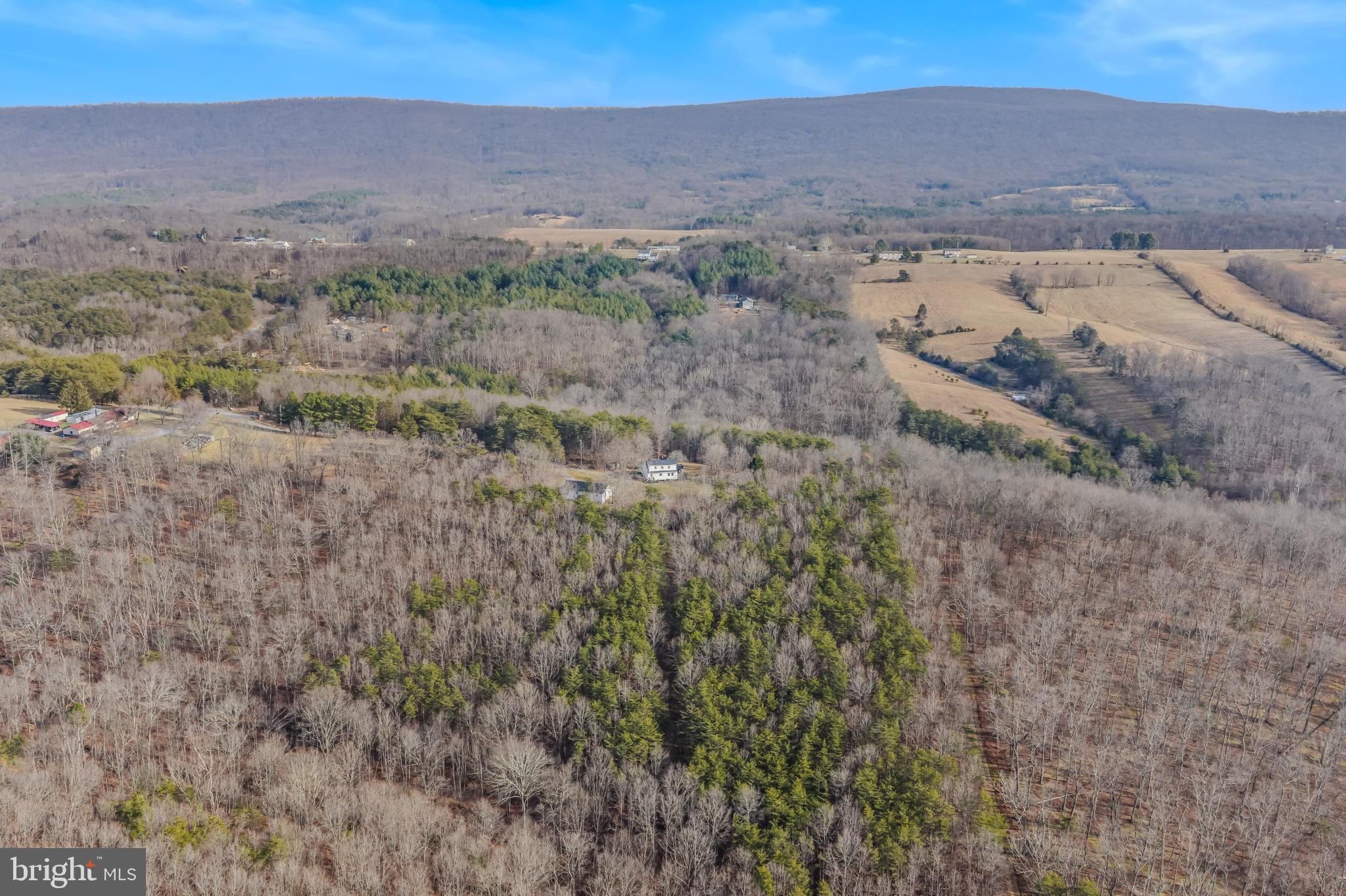TIMBER RIDGE - Residential