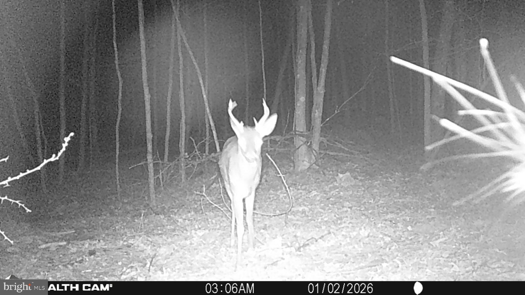 TIMBER RIDGE - Residential