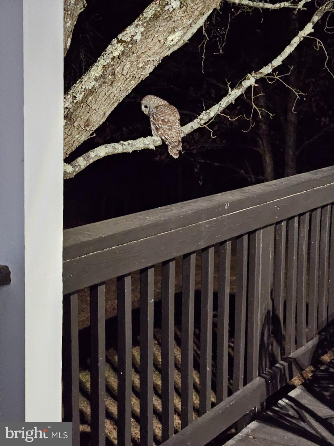 TIMBER RIDGE - Residential