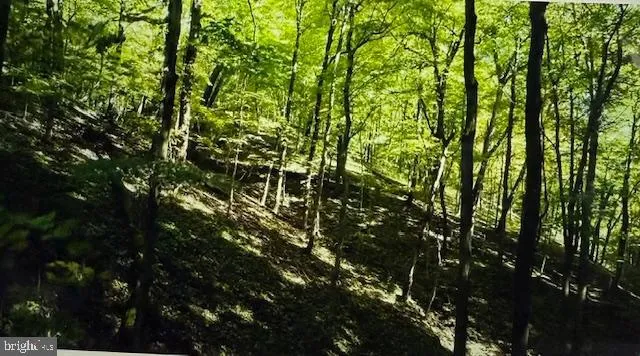 Mont Clare, Pennsylvania 19453, United States, 3 Bedrooms Bedrooms, ,2 BathroomsBathrooms,Residential,Active,7602