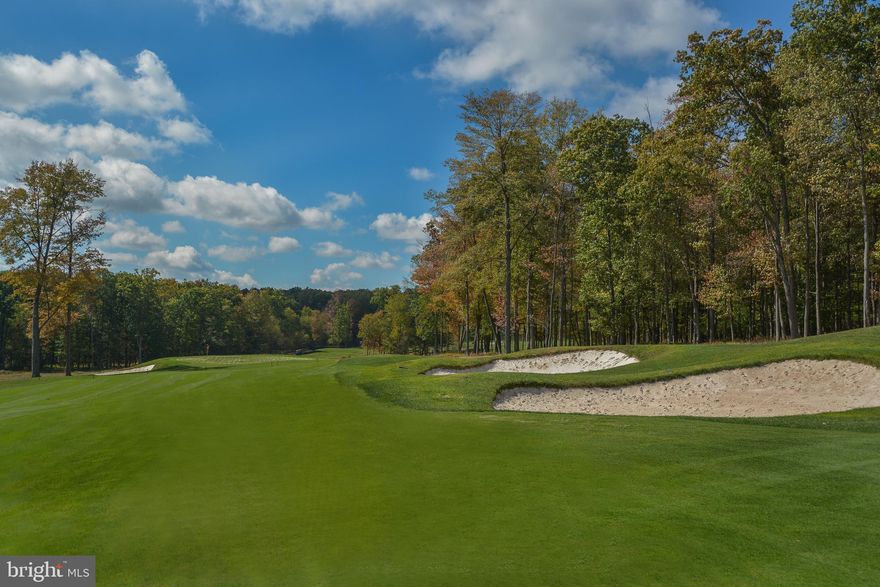 Here's your chance to purchase a beautiful homesite on the newly finished back nine in the Cathedral Springs section of Thousand Acres.  The tranquil feeling you get while pulling up to this lot is very calming. Positioning your dream home will be a hard decision, every angle is very pretty. Thousand Acres Golf Club boasts an 18-hole course.  Plans are in the works for a future clubhouse. The lake access area is near the existing golf clubhouse on the lakefront. This lot does not include a dock slip, but it does have deeded lake access. Rentals are limited to 24 times per year, and no more than 3 times per month. The only thing missing from this great homesite is your dream home! Includes a golf membership and 1 sewer tap.