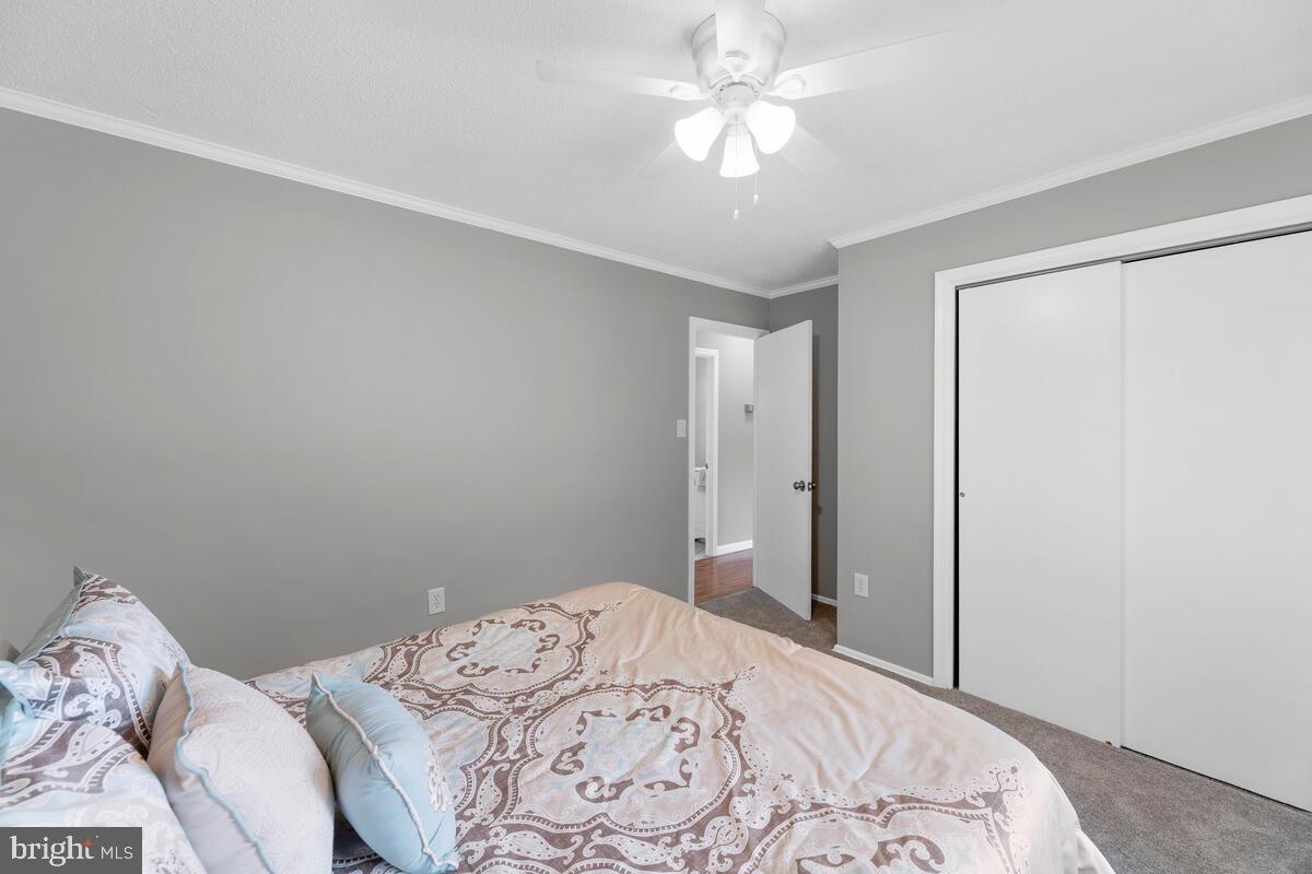 SPRING BRANCH ESTATES - Residential