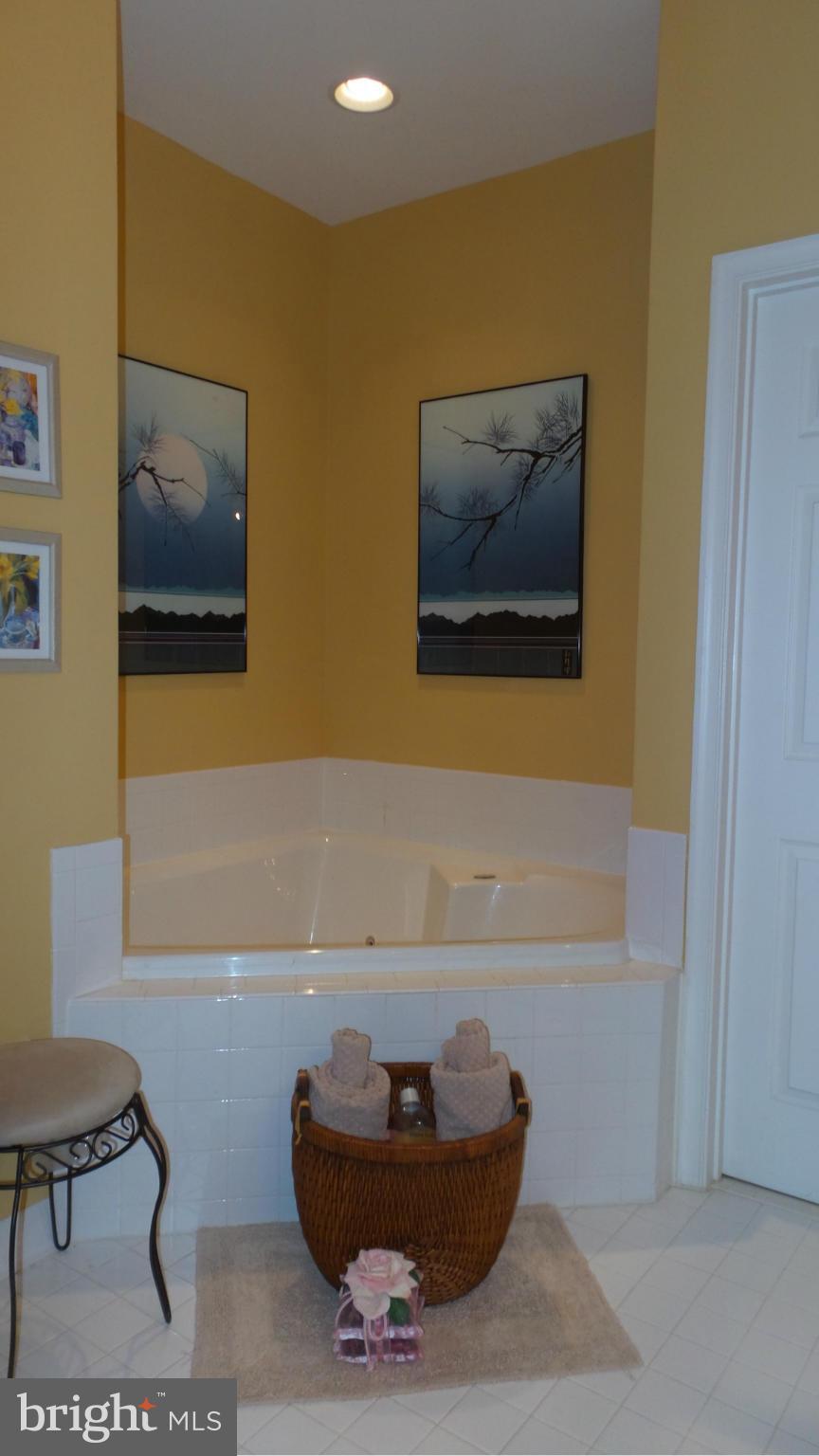 VILLAS AT SNOWDEN OVERLOOK - Residential