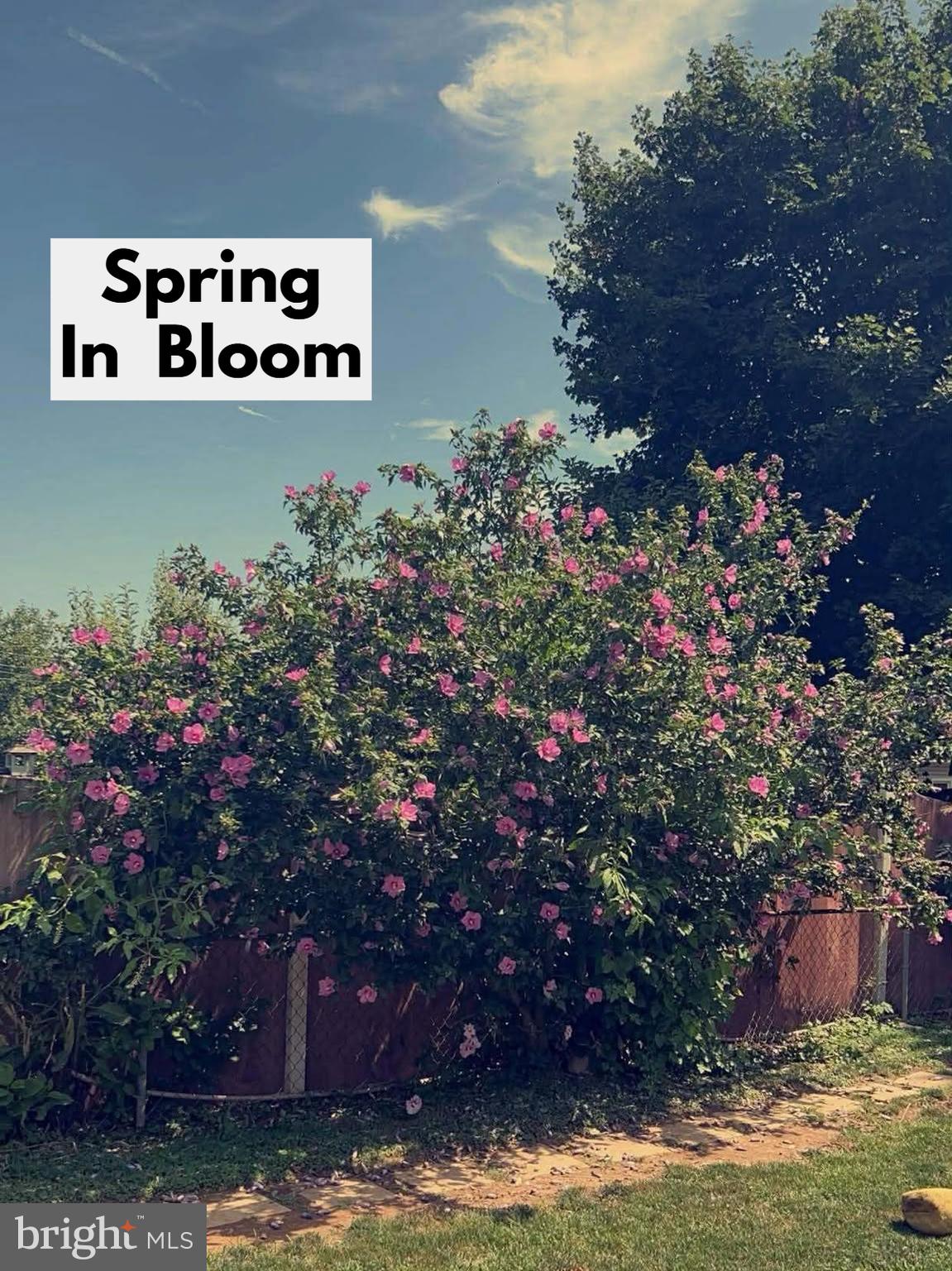 HANOVER BORO - Residential