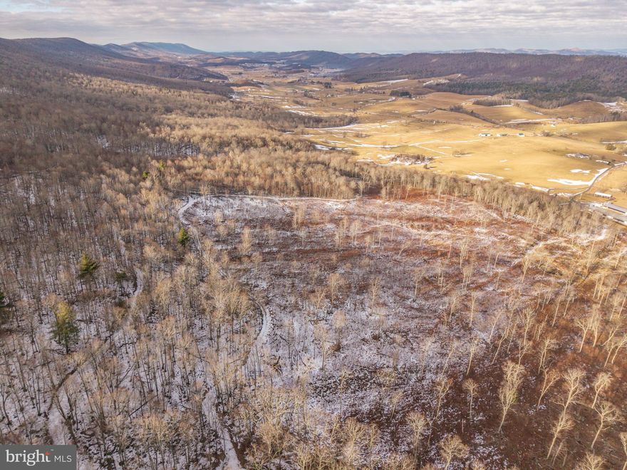 Perched above the rolling farmland of Sweet Springs Valley, this exceptional recreational tract in Gap Mills, WV offers panoramic, long-range views that stretch across one of the most scenic valleys in the region. From multiple vantage points along the gently sloping terrain, you can take in sweeping views of patchwork agricultural fields framed by the surrounding Appalachian ridges — the kind of setting that never gets old, whether at sunrise or as the sun dips behind the mountains. The topography is one of this property’s greatest assets. Gently sloping and highly usable, the land is easy to traverse on foot, making it ideal for hunters, hikers, and outdoor enthusiasts of all ages. A well-established network of trails winds throughout the tract, providing excellent access to multiple stand locations and allowing you to quietly and efficiently move through the property. Situated throughout the landscape are seasonal springs that provide natural water sources for wildlife and further enhance the property’s habitat diversity. Whether you prefer early morning sits or evening hunts, the layout supports a variety of setups. Wildlife is abundant. This area is well known for its strong populations of whitetail deer and wild turkey, and this tract is no exception. With the surrounding Sweet Springs Valley dominated by open agricultural land, this property becomes a natural sanctuary. The diverse habitat — a blend of early successional growth and mature hardwood timber — creates ideal bedding and feeding conditions. The woods are scattered with white and red oak, producing heavy acorn crops that serve as a primary food source and draw game year after year. Natural travel corridors, edge habitat, and transition zones further enhance its appeal as a true wildlife destination. Beyond its borders, the recreational opportunities continue. The property is located near thousands of acres within the George Washington and Jefferson National Forests, providing expanded access to public land for hunting, hiking, and exploring. The iconic Appalachian Trail is also nearby, offering world-class hiking and breathtaking overlooks just a short drive away. When you’re ready to enjoy dining, entertainment, or shopping, the vibrant town of Lewisburg is within easy reach. Known for its charming downtown, restaurants, and boutiques, Lewisburg offers modern conveniences in a historic setting. You’re also just a short drive from The Greenbrier, a world-renowned resort featuring golf, fine dining, spa services, and year-round events. Access to the property is provided by a deeded right-of-way off Route 3, ensuring privacy while maintaining convenience. If you’re searching for a scenic, hunt-ready tract with exceptional views, abundant wildlife, and proximity to both vast public lands and local amenities, this Sweet Springs Valley property delivers the perfect balance of seclusion and accessibility.