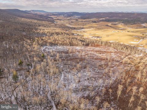 Vacant Land For Sale - Spring Valley Road<br/> Monroe County, GAP MILLS, WV 24941