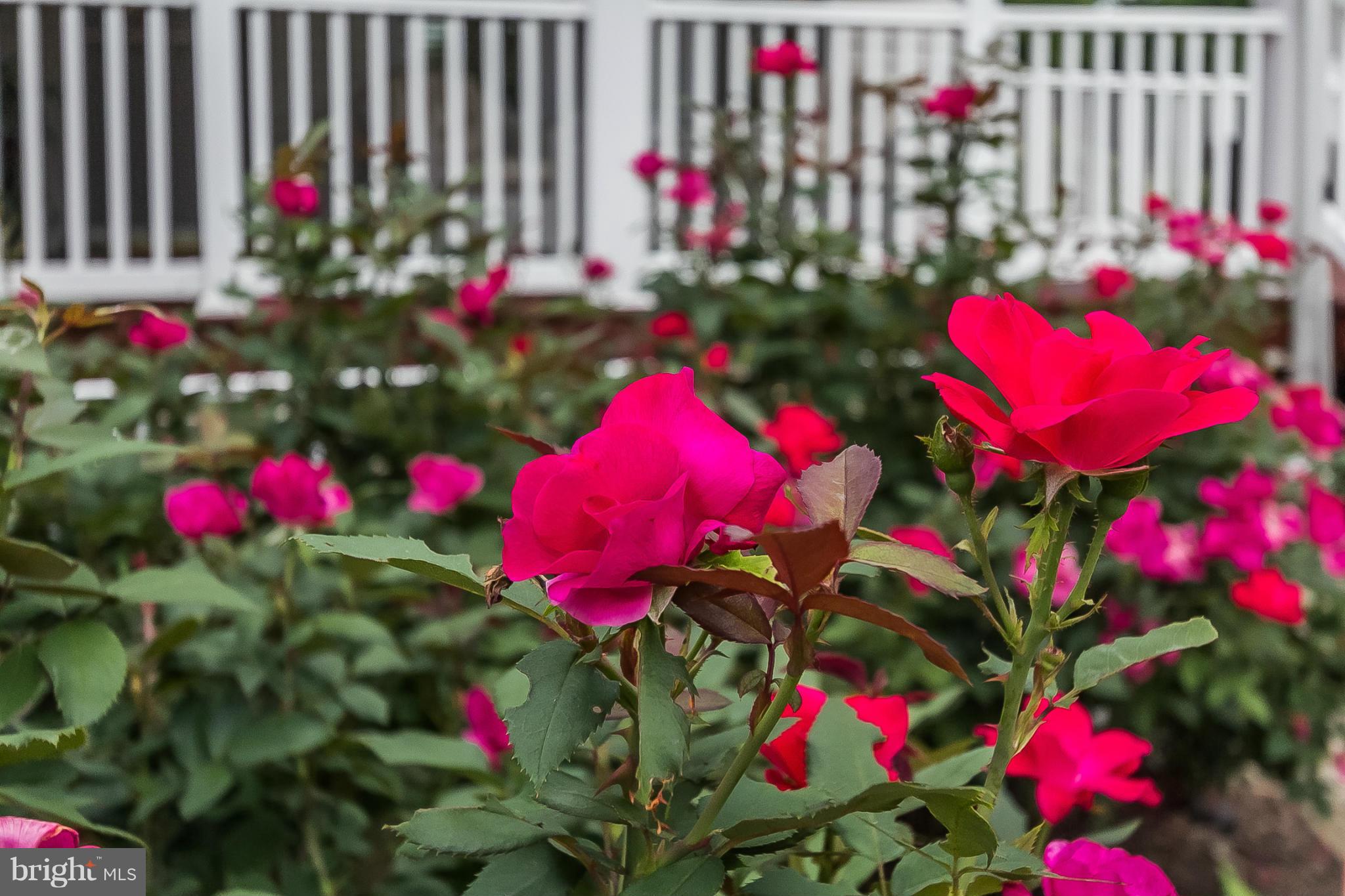 DULANEY VILLAGE - Residential