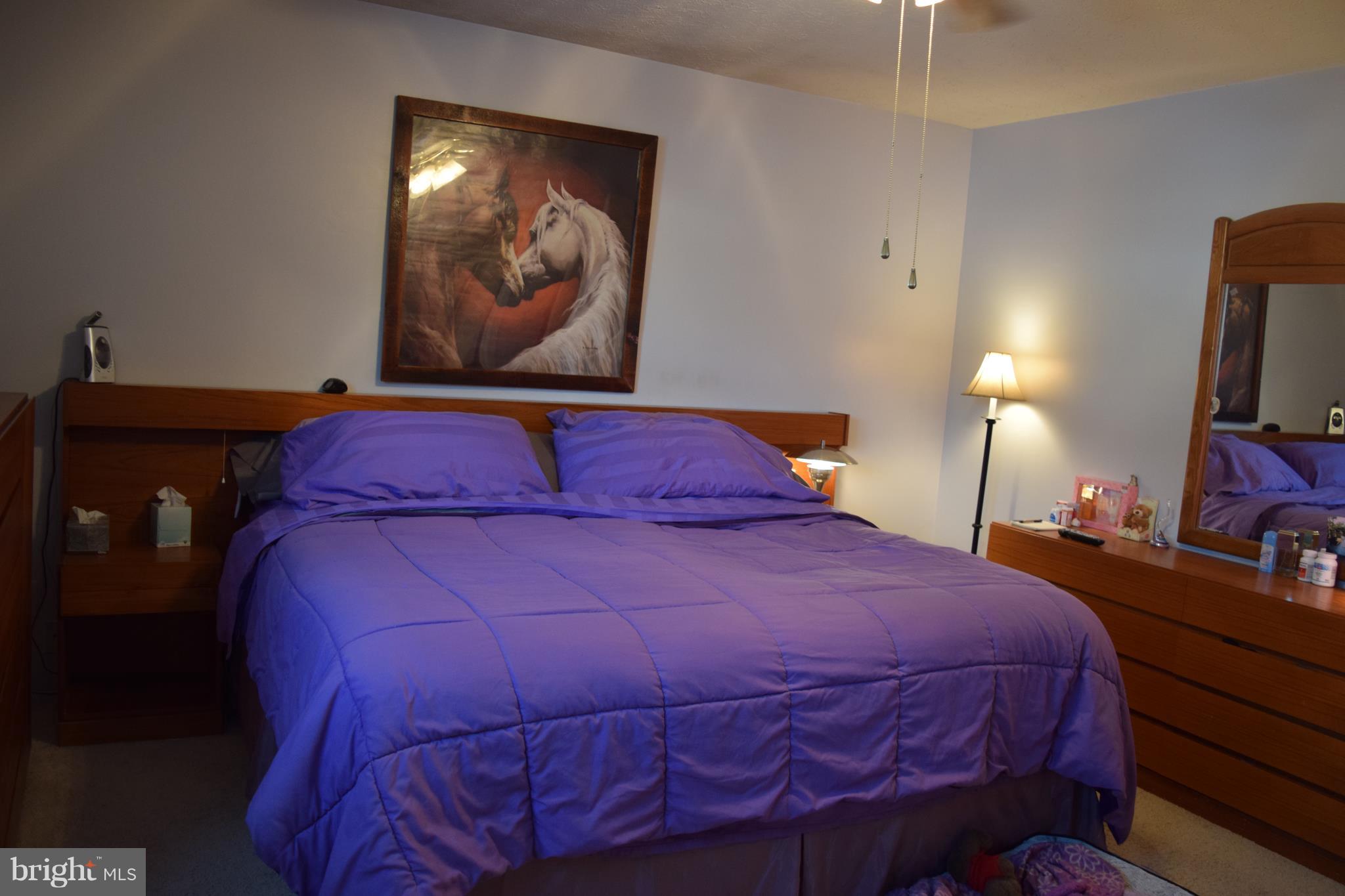 NEW CUT FARMS - Residential