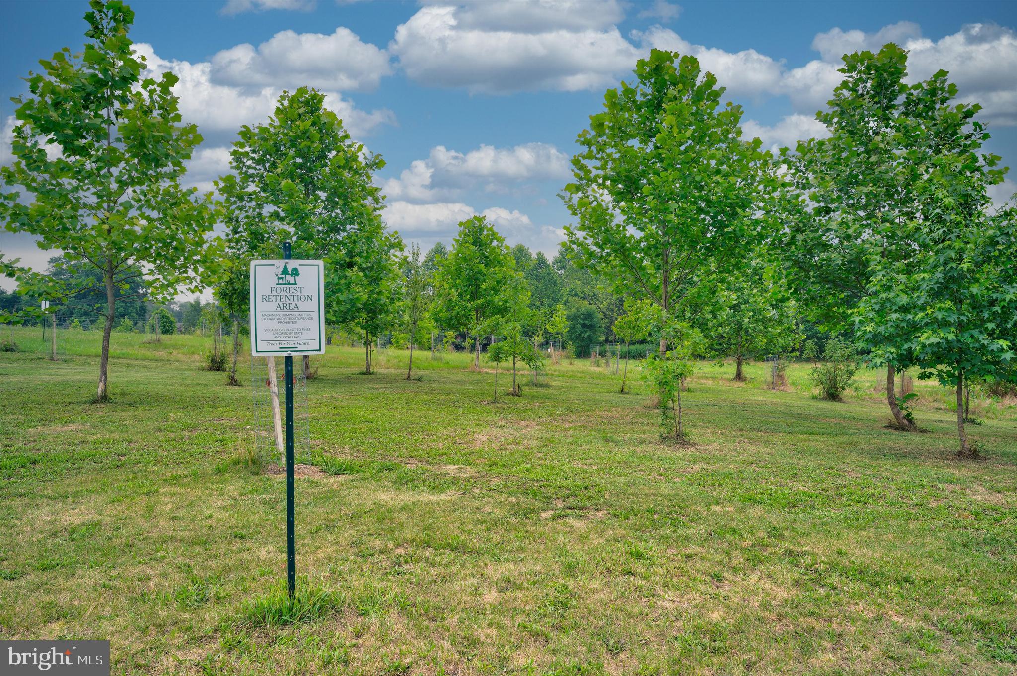 MAPLE VALLEY ESTATES - Residential