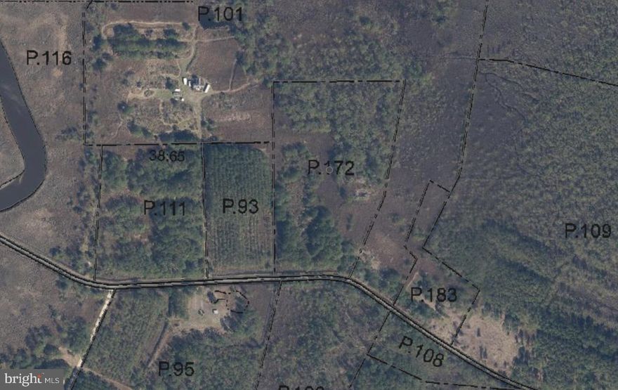 Have you been looking for RECREATIONAL LAND  that you can purchase and not break the bank?  You have found it here!  Whether your desire is to hunt, walk, relax in nature, bird watch, or if you just want to own some Somerset County  Acreage, this property is worth the look!  This property is very close to Marumsco Creek and is definitely a unique property!