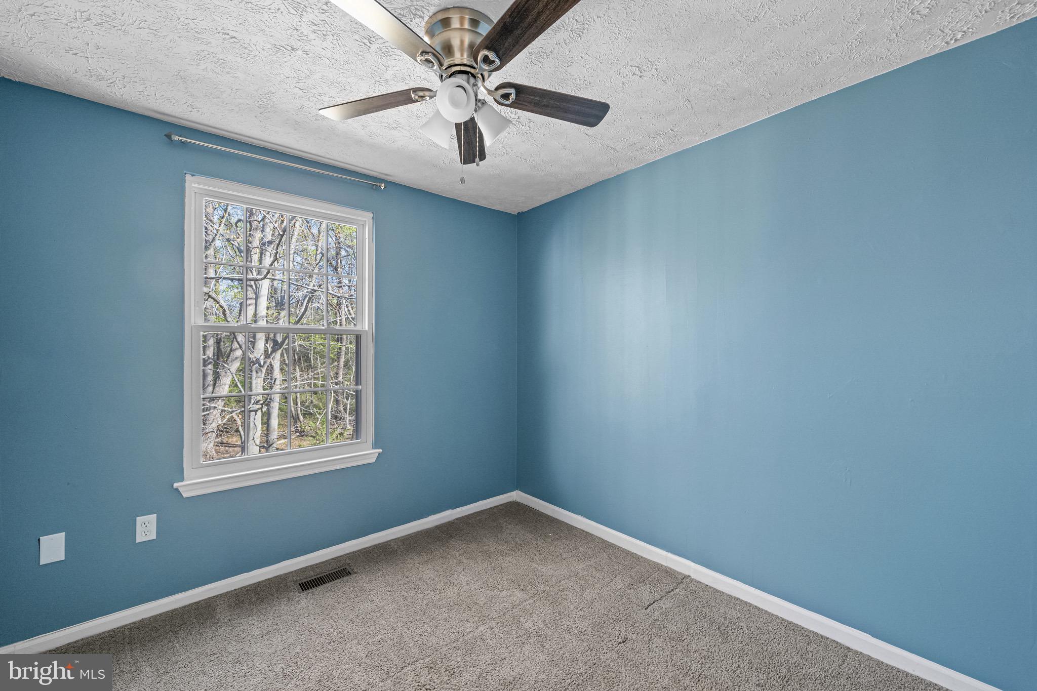 BLUE RIDGE FARMS - Residential