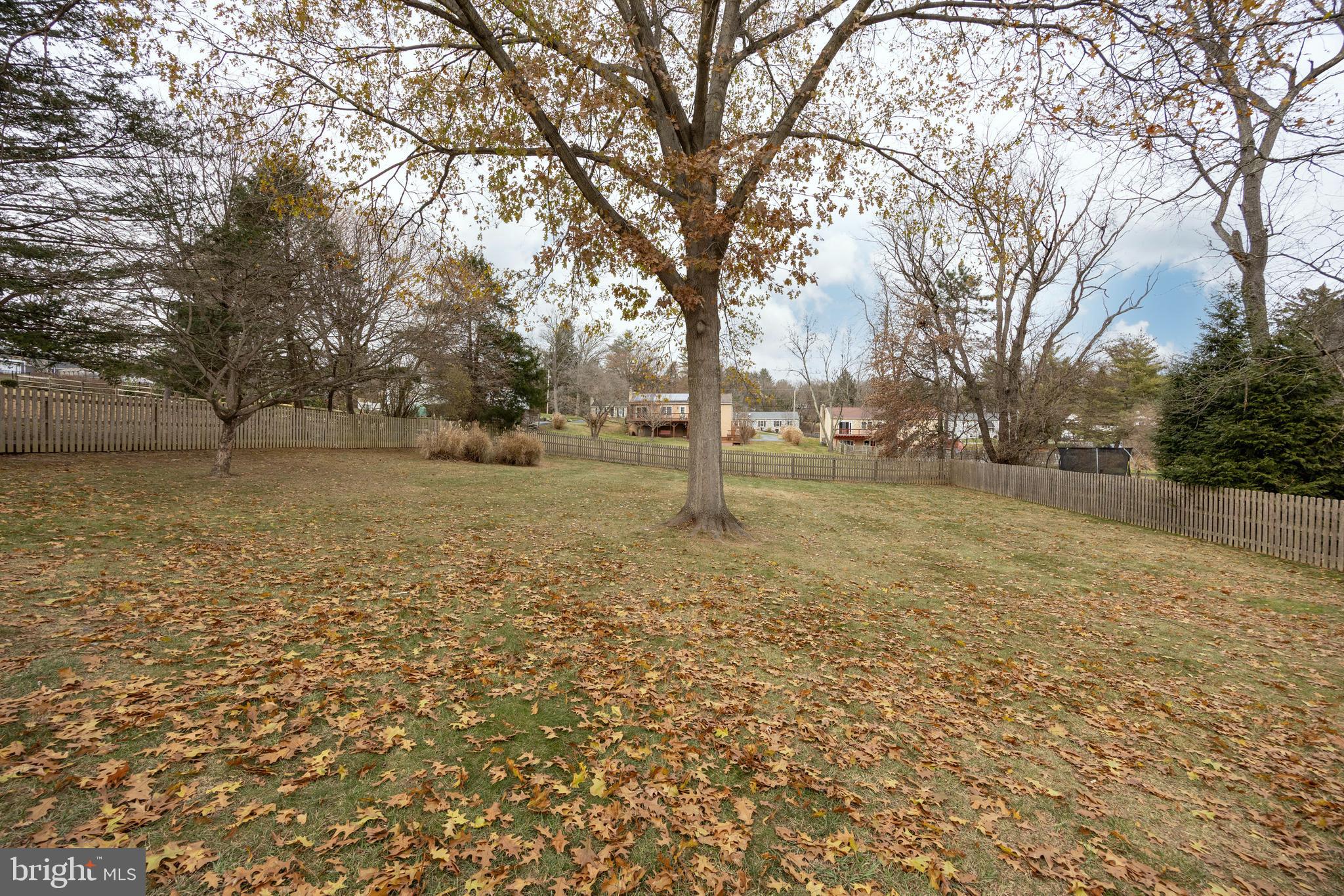 BRANDYWINE CHASE - Residential