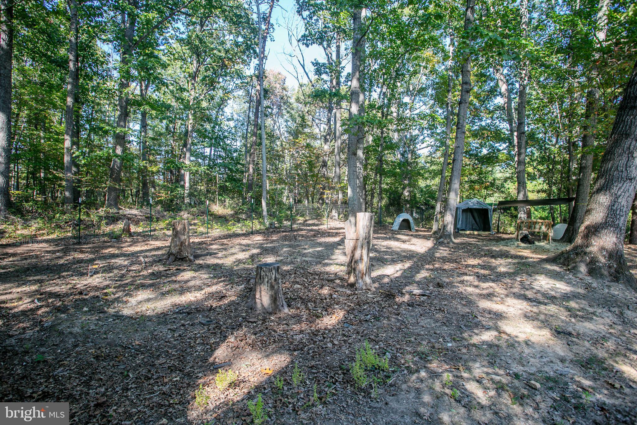 PELHAM MANOR - Residential