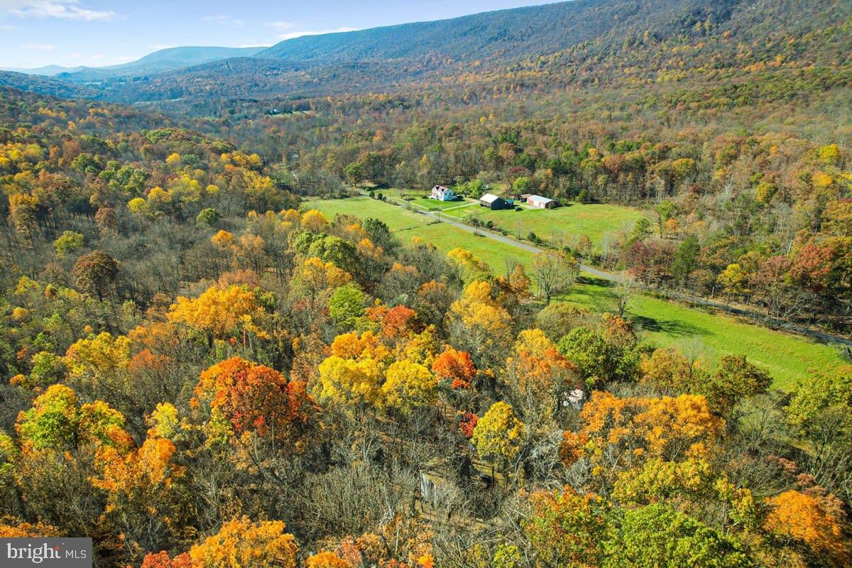 ROCK GAP WOODS - Residential