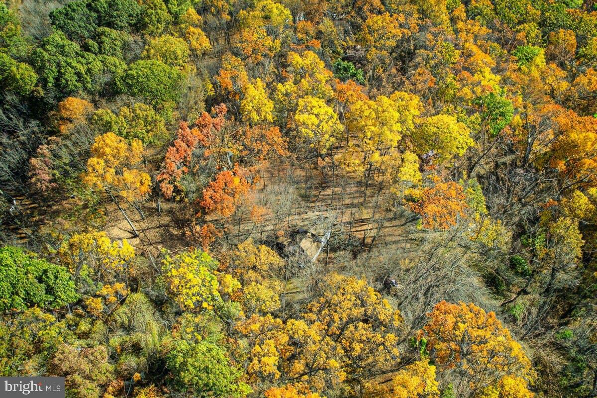 ROCK GAP WOODS - Residential