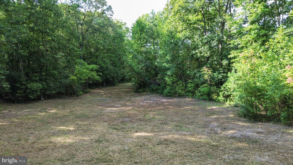 Photo of 28923 Poplar Grove Drive, MILTON, DE 19968 (MLS # DESU2120388)