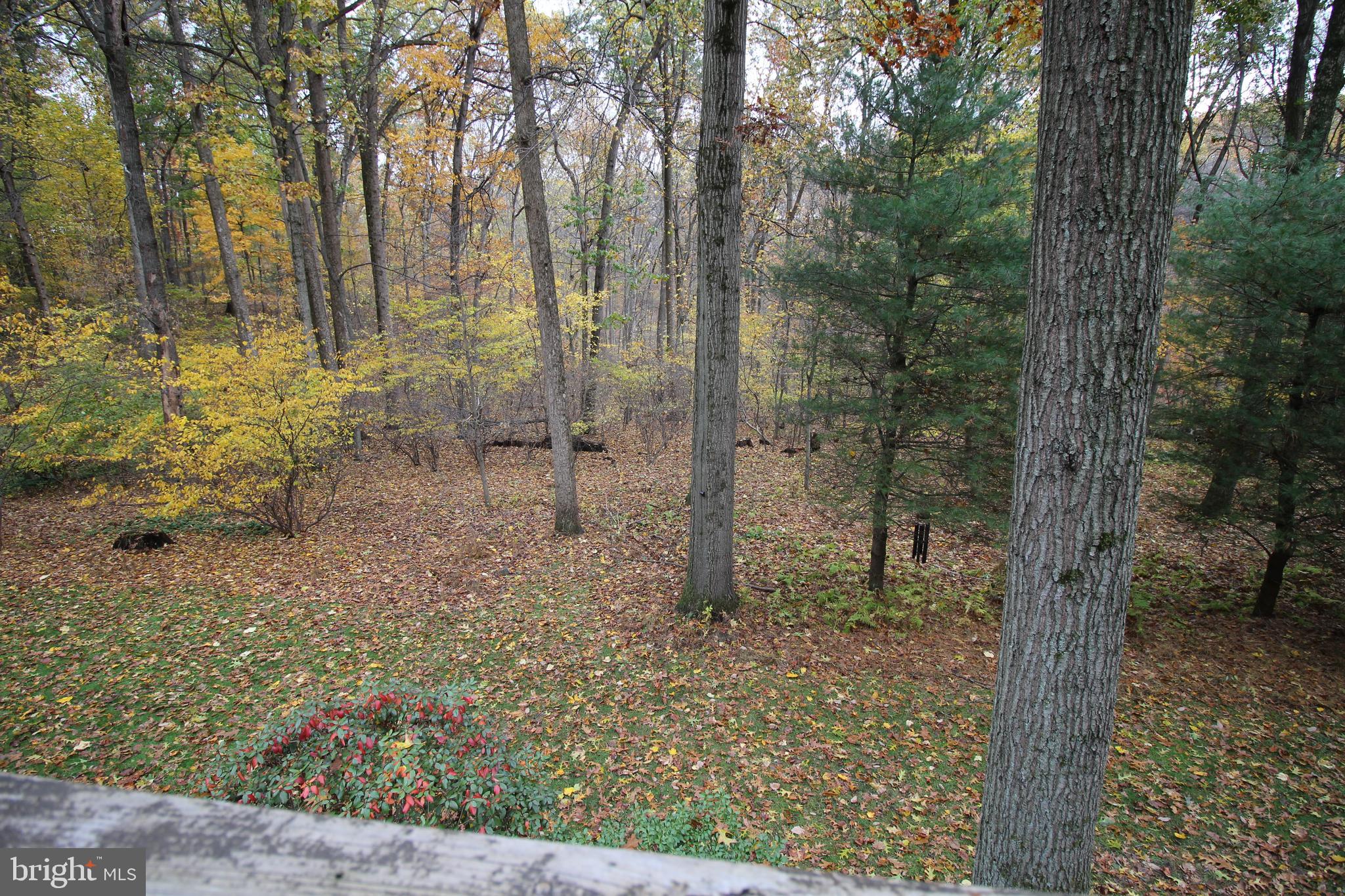 EAST DRUMORE TWP - Residential Lease