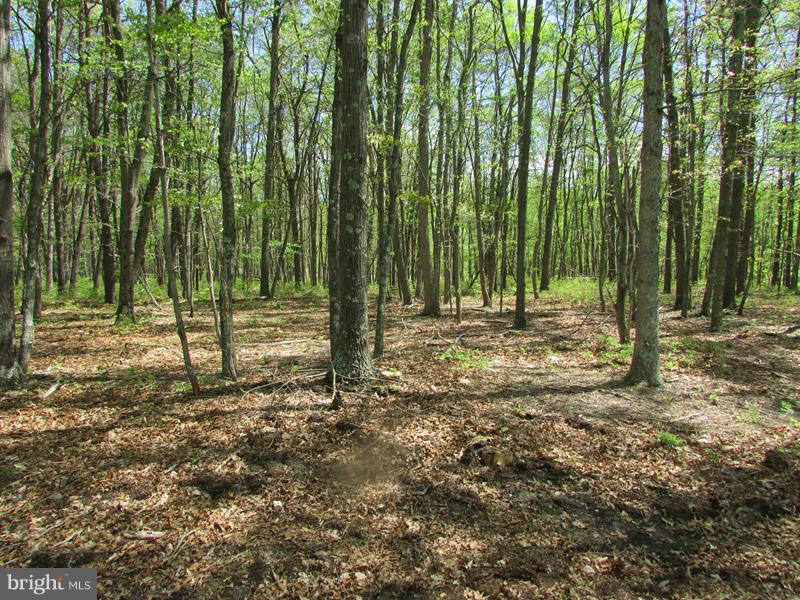 POTOMAC LANDING - Land