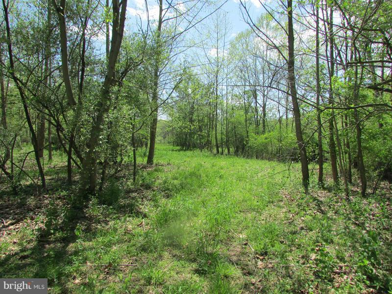 POTOMAC LANDING - Land