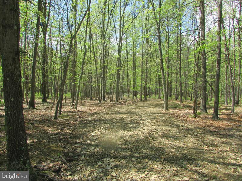 POTOMAC LANDING - Land