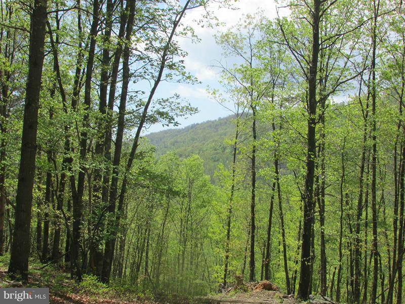 POTOMAC LANDING - Land