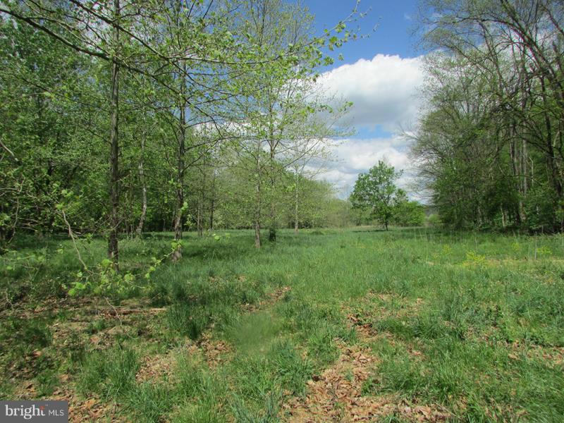 POTOMAC LANDING - Land
