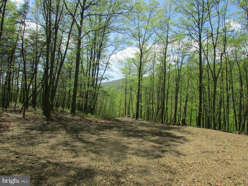 POTOMAC LANDING - Land