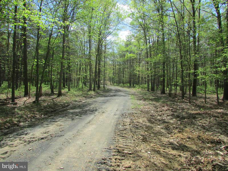 POTOMAC LANDING - Land