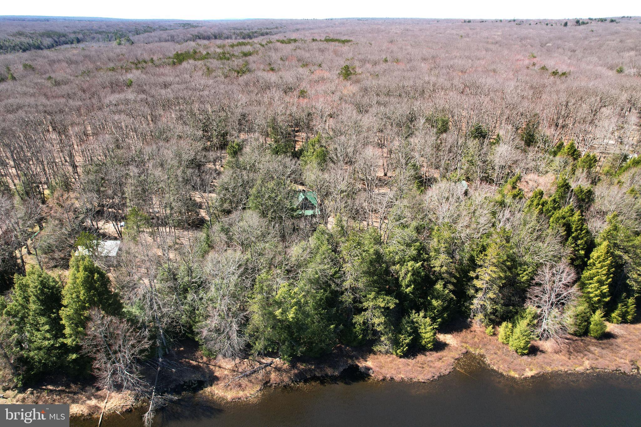 BLACK MOSHANNON - Residential