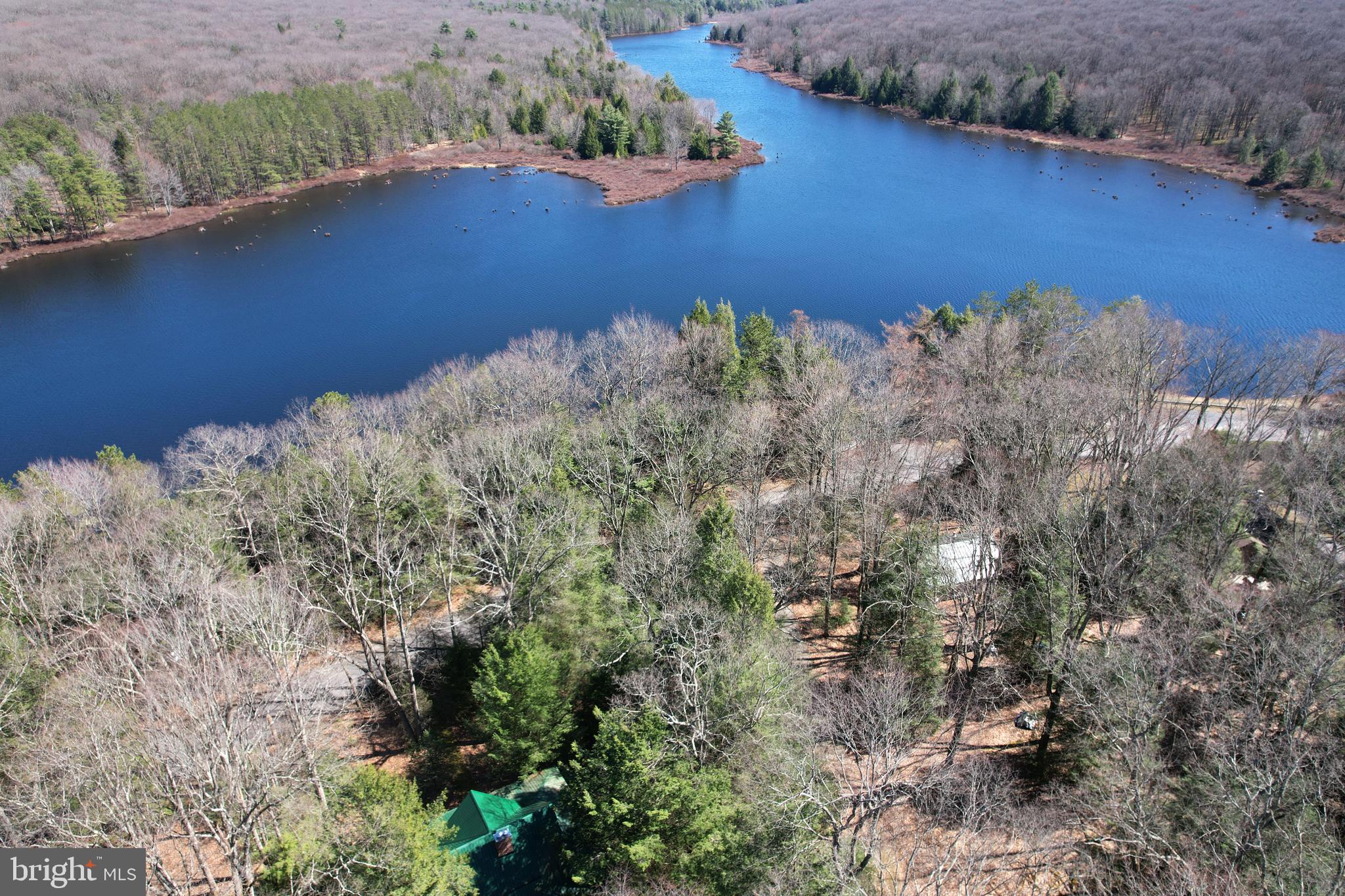 BLACK MOSHANNON - Residential