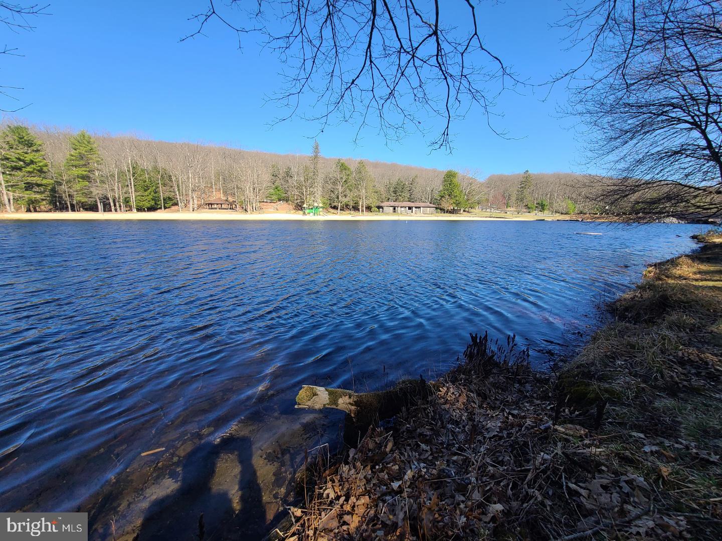 BLACK MOSHANNON - Residential