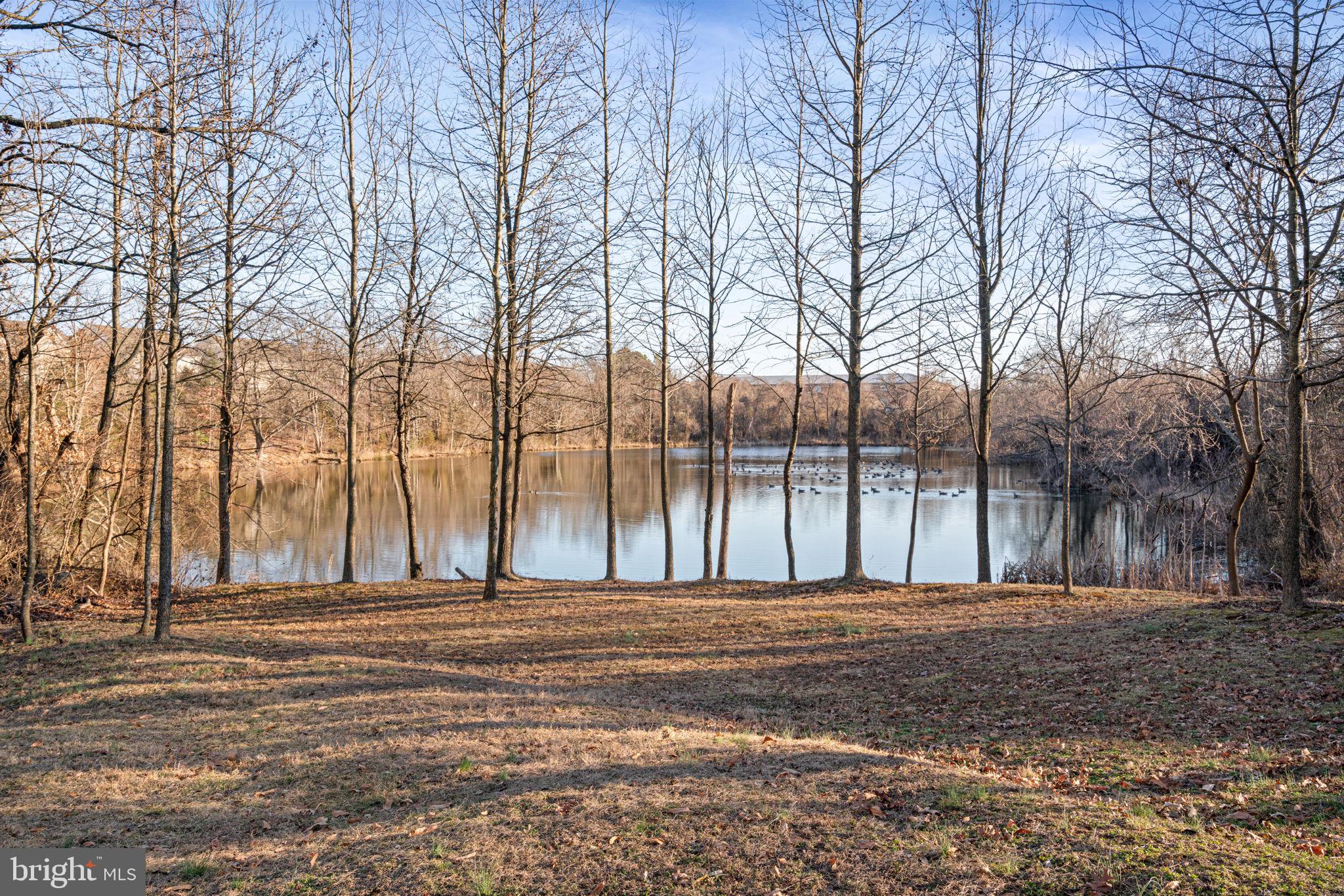 LAUREL HILL - Residential