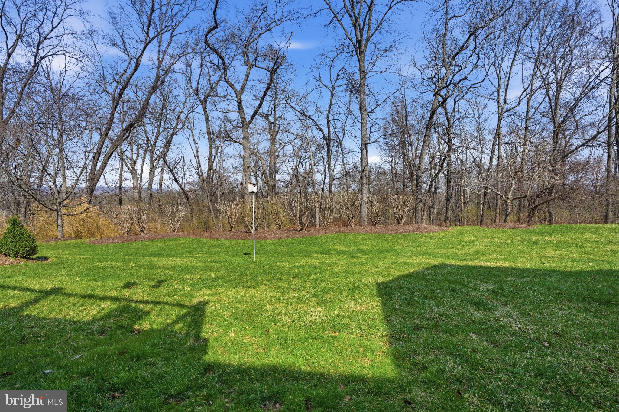 TRADITIONS AT WASH - Residential